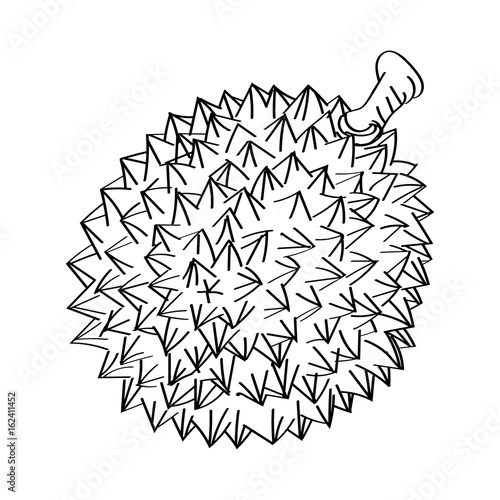 Hand drawn sketch of Durian isolated, Black and White Cartoon Vector Illustration for Coloring Book - Line Drawn Vector