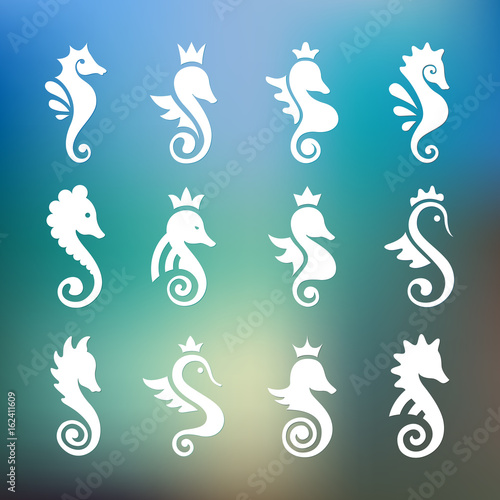 Stylized graphic Seahorse. Silhouette illustration of sea life. Sketch for tattoo on isolated white background. Vector flat Set of icons  logo collection