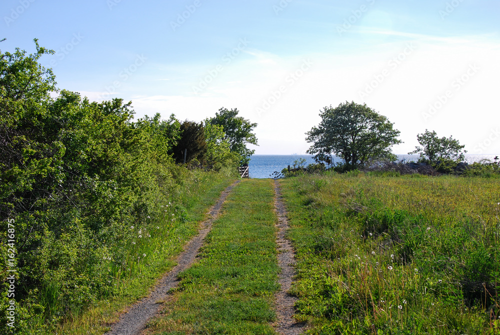 Green pathway to the coast
