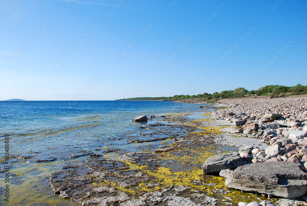 Flat rock coast at the island Oland in Sweden Flat rock coast at the island Oland in Sweden