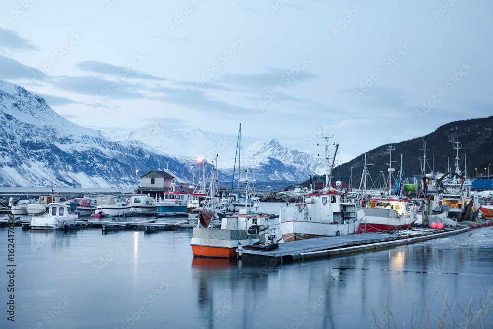 Mountain landscape with harbor Mountain landscape with harbor