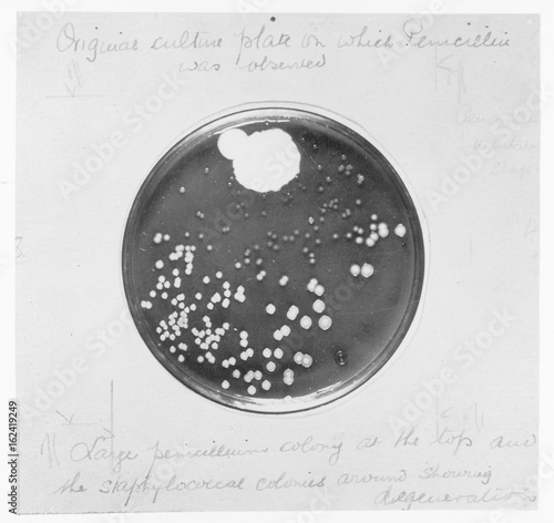 Penicillin Culture - 1929. Date: 1929 photo