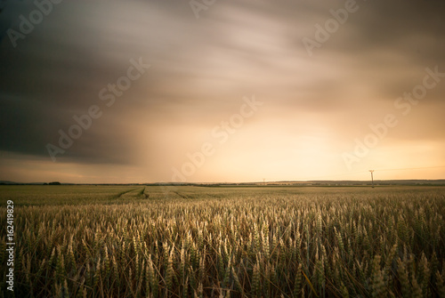 Summer field with a storm