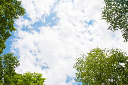 White clouds surrounded by green trees against a blue sky