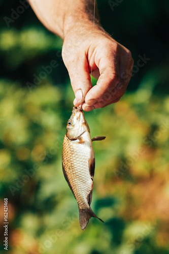 Male fisherman professional holds a crucian in his hand, caught on a fishing line and bait worm, concept lake, rest of the guys.