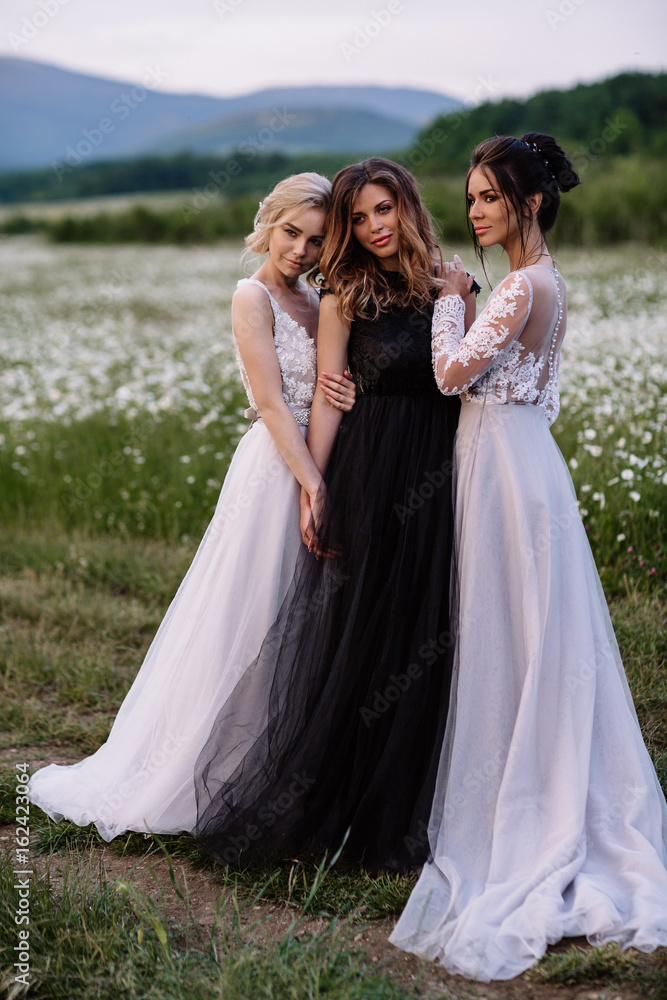 three beautiful girls brunette and blonde,brown-haired woman enjoying Daisy field,nice long dresses, pretty girl relaxing outdoor, having fun, happy young lady and Spring green nature, harmony concept