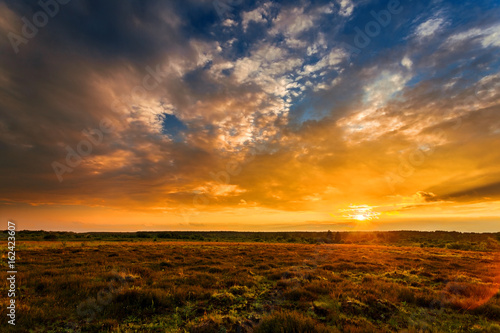 Summer field full of grass and sunset sky above. Beautiful sunset landscape.