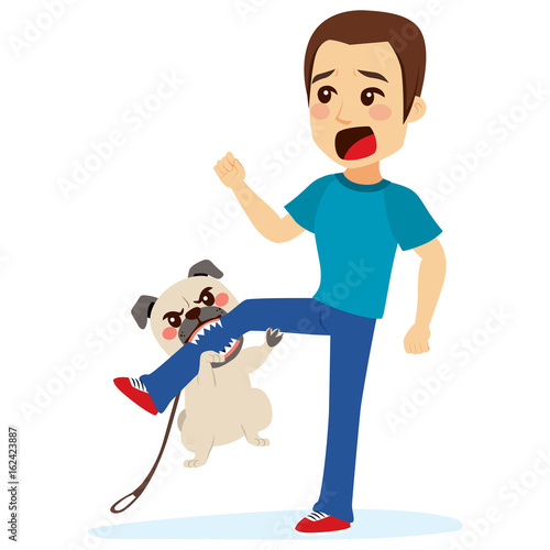 Dog attacking young scared man biting his leg photo