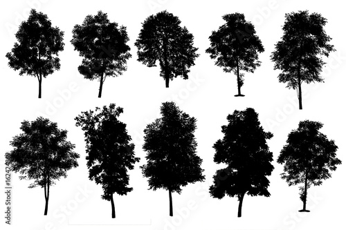 collection of silhouette of trees isolated on white background