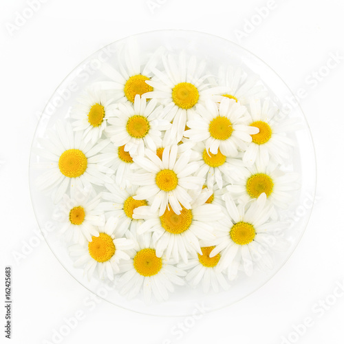 Chamomile flowers on a white background. Flat lay. Top view
