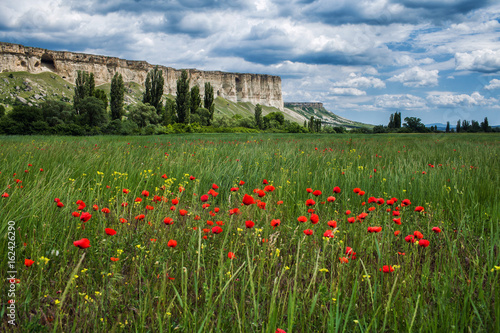 white rock over a field of poppies ander the storm sky Crimea