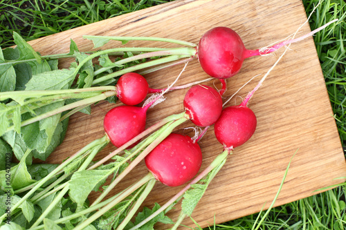 Fresh radishes on a board / red radish with a batla, lying on an oak board.