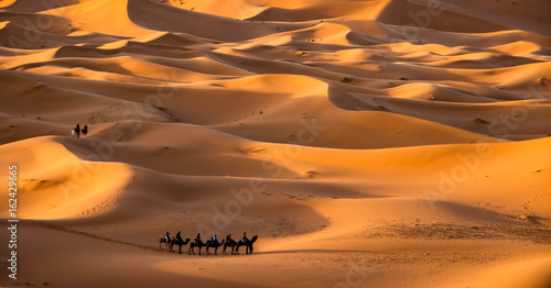 Caravan in the Sahara desert, Morocco photo