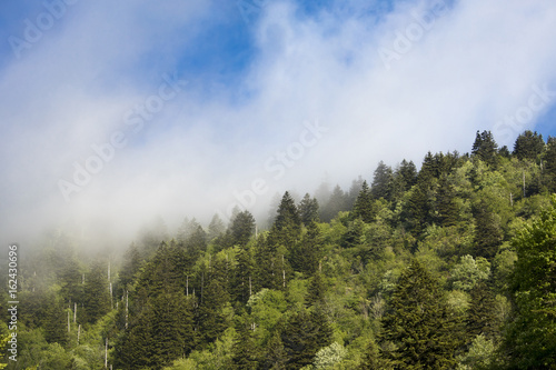 Mist over the Great Smoky Mountains of North Carolina