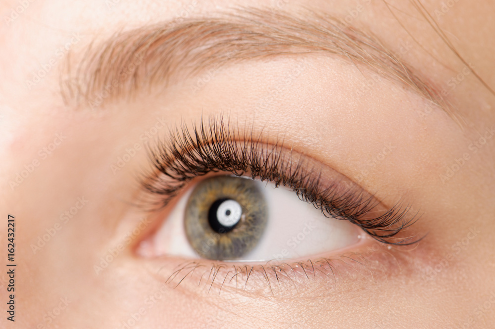 Closeup shot of female eye with day makeup Closeup shot of female eye with day makeup