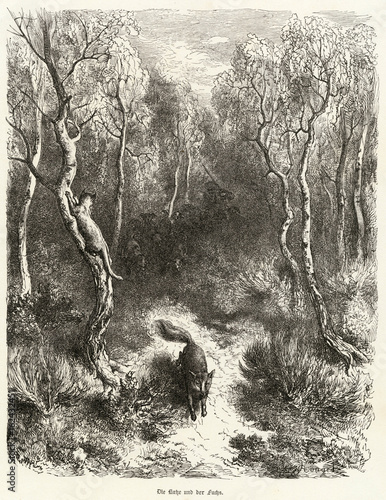 The Cat - the Fox - circa 1870