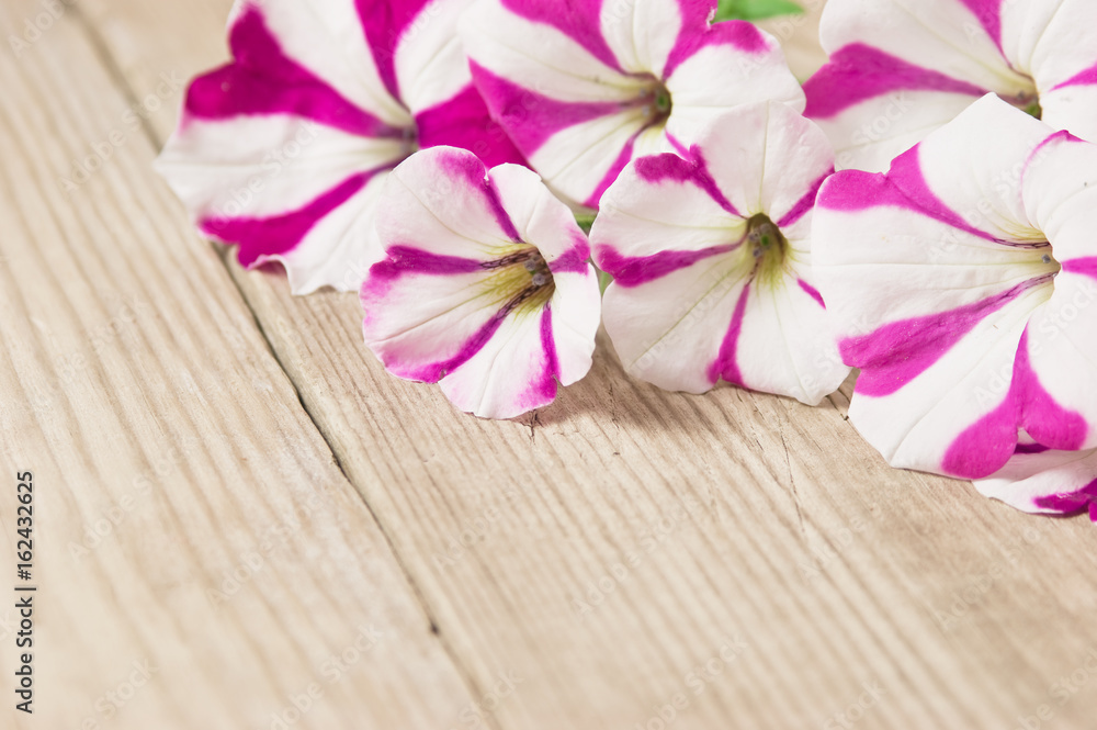 flowers on wooden background flowers on wooden background