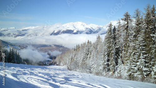 Pine trees on a slope leading to low clouds in an alpine valley of skiing resort Les Arcs, Alps, France