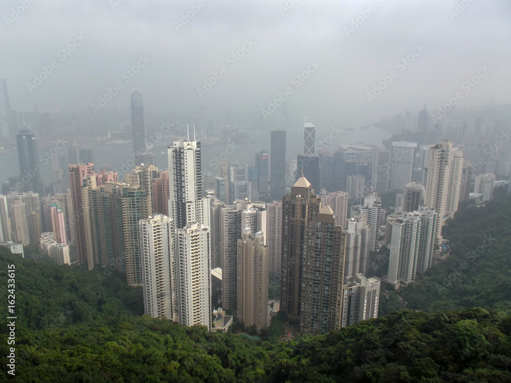 Naklejka premium Skyscrapers over the forest