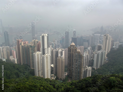 Skyscrapers over the forest