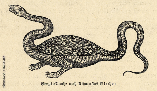 Dragon (Kircher). Date: circa 1650 photo