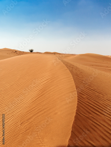 Red desert sand