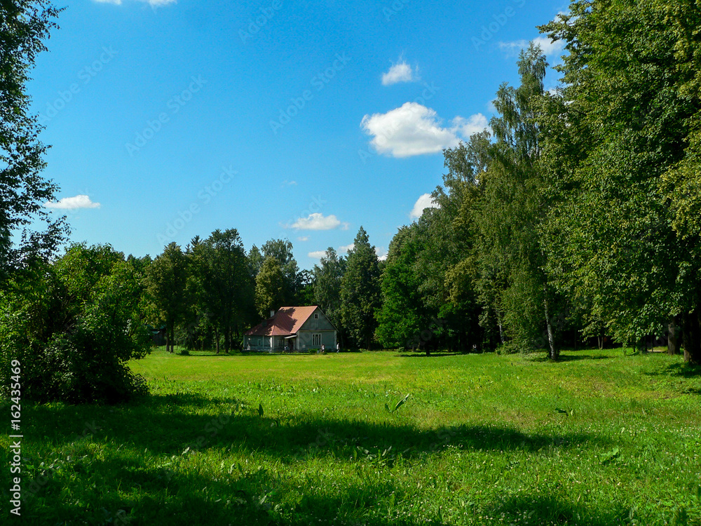 Obraz premium Russian village