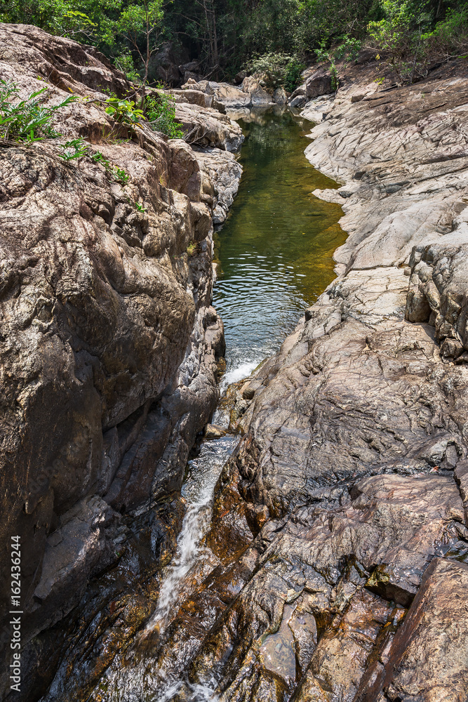 Stream in the tropical jungles