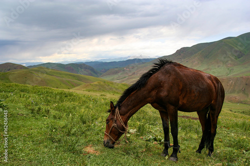 Beautiful landscape in Kyrgyzstan