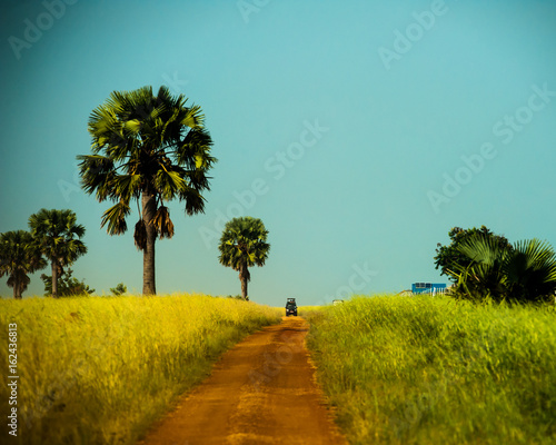 Antelope, Uganda photo