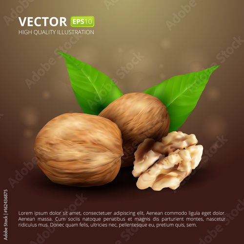 Realistic walnuts with leaves on brown background. Vector illustration with place for text and logo