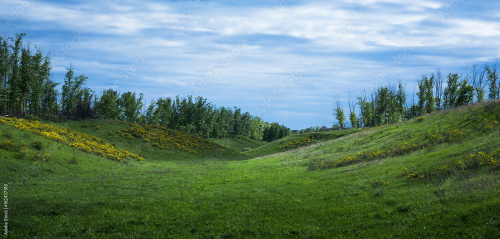 Green valley Green valley