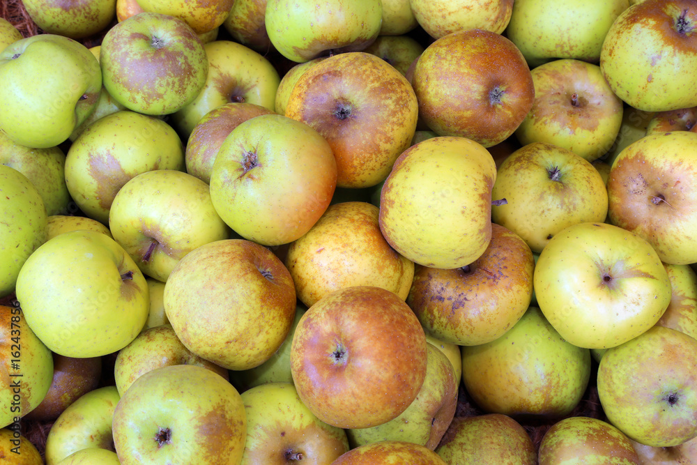 Background of green organic apples on sale from the fruit grove Background of green organic apples on sale from the fruit grove