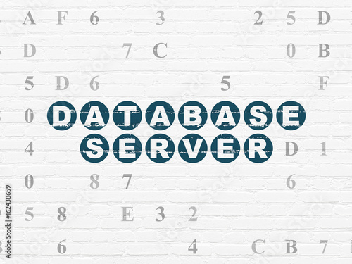 Programming concept  Database Server on wall background
