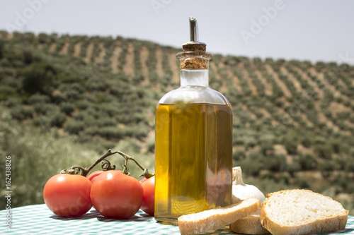 Tomates, aceite de oliva y pan con fondo de olivos