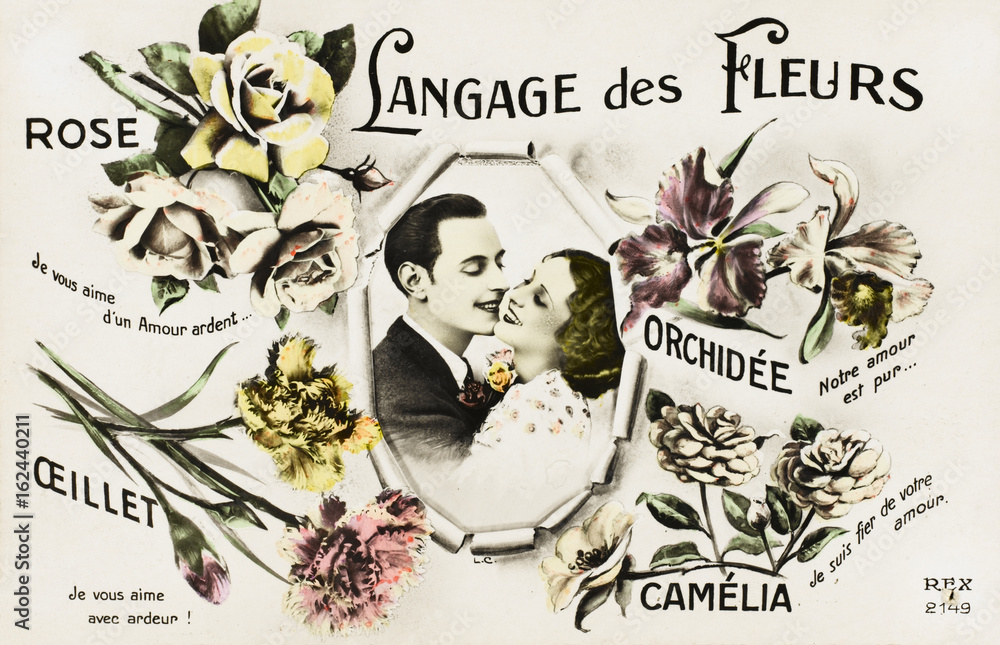 Fototapeta premium Flower Languages and Variations in French. Date: 1950s