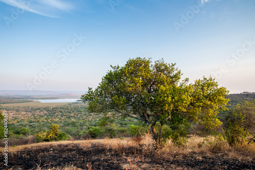 Lake Mburo Park, Uganda