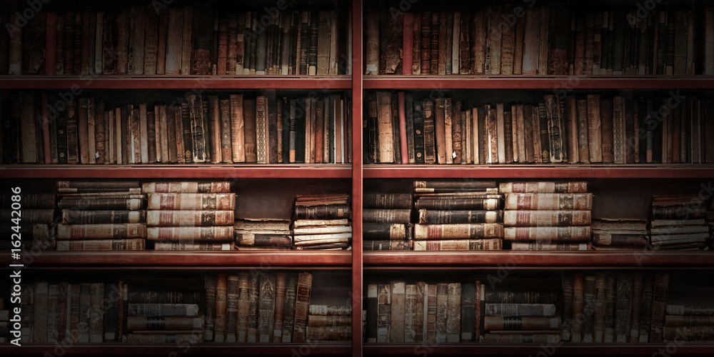 Fototapeta premium Alte Bücher im Bücherregal