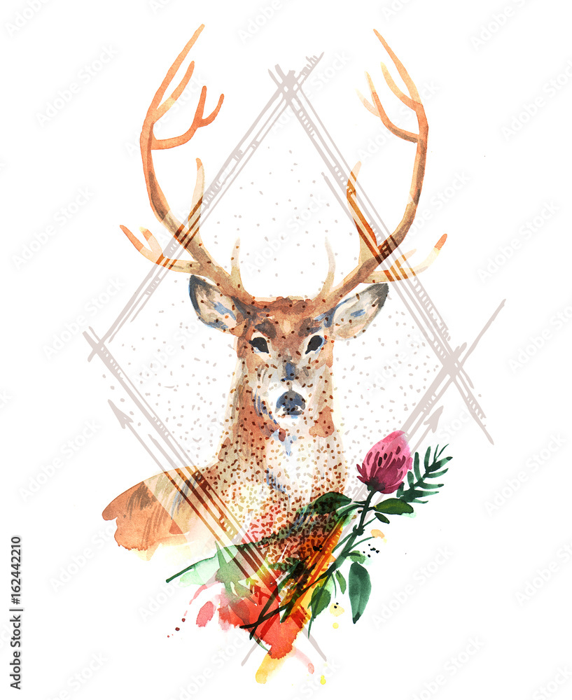 Obraz watercolor illustration deer