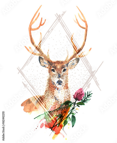Obraz na płótnie watercolor illustration deer