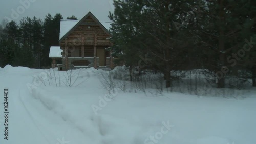 Wallpaper Mural Winter forest on a nasty cold day view Torontodigital.ca