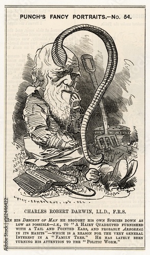 Fotografia Charles Darwin studying a worm. Date: 1881