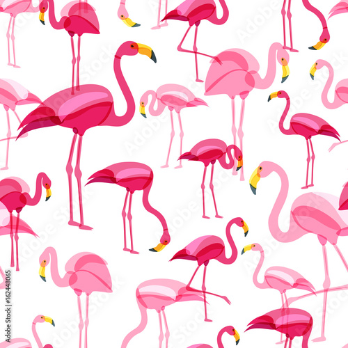 Vector seamless pattern with pink flamingo isolated on white background. Hand drawn doodle illustration. Flamingo birds in various poses. Trendy design for summer fashion textile print.