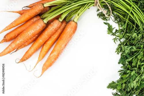 Red carrot on white background. photo