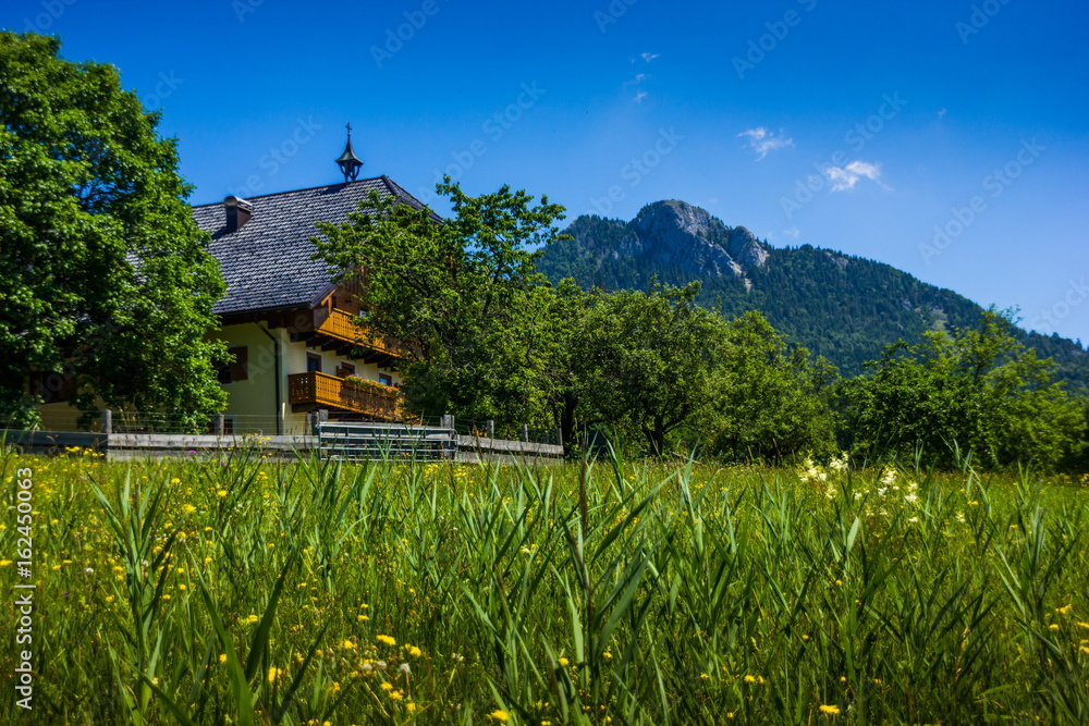 Fototapeta premium Austrian Alps