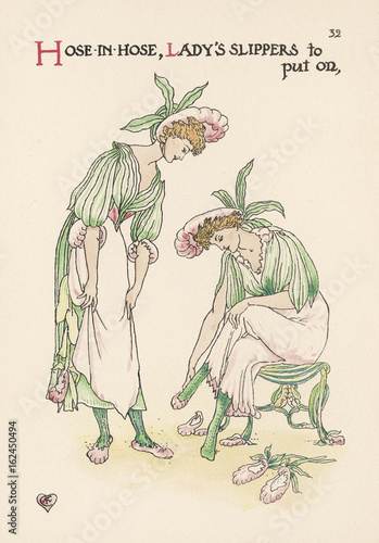 Plants - Limonium Vulgare. Date: 1905