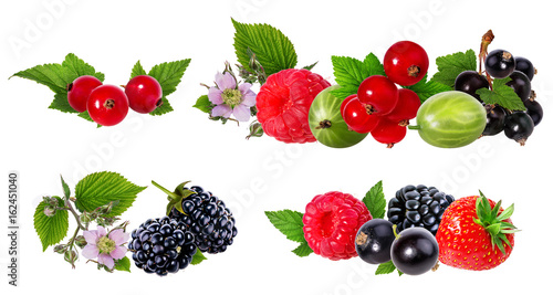 Berries collection. Raspberry  blueberry strawberry  currant  gooseberry isolated