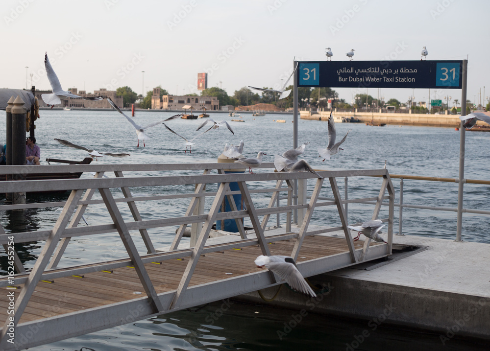 Fototapeta premium dubai creek