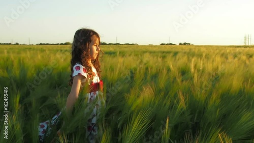 Wallpaper Mural Child in a wheat field. A little girl is walking along the wheat field. Torontodigital.ca