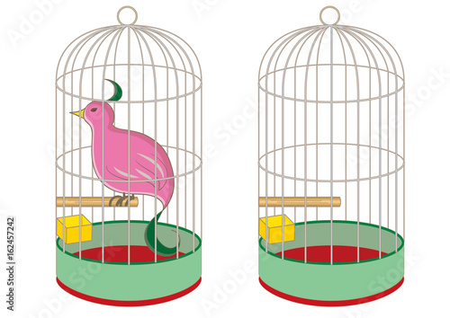 鳥かごと珍しい鳥